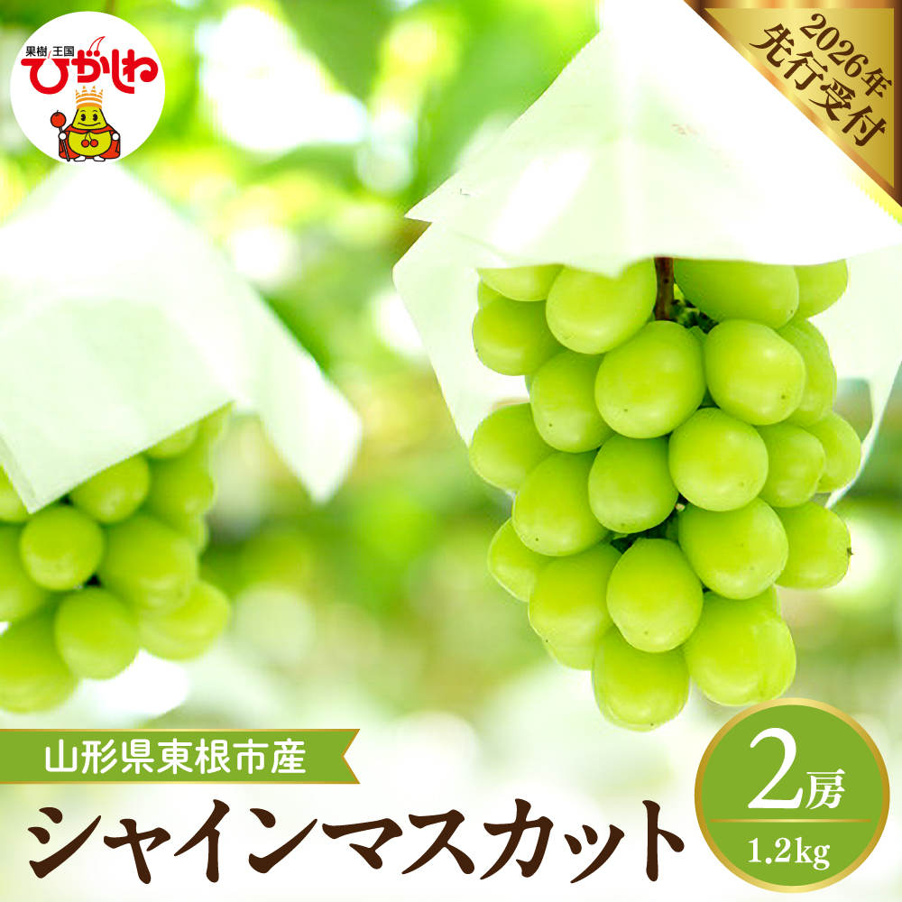 【2026年産】 シャインマスカット 約1.2kg (2房入) 山形県 東根市 hi026-054