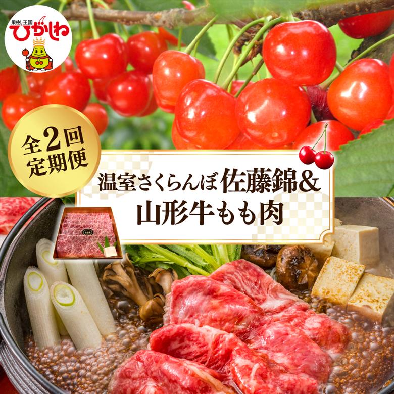 【2025年 先行予約】温室さくらんぼ佐藤錦＆山形牛もも肉 全２回定期便 (2025年4月からスタート) 山形県 東根市 hi026-017-1