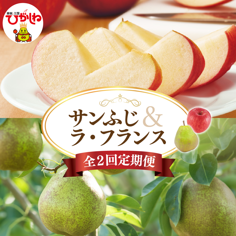【2025年 先行予約】 洋なし「ラ・フランス」＆りんご「サンふじ」　全２回定期便 (2025年11月スタート) 山形県 東根市 hi026-022-1