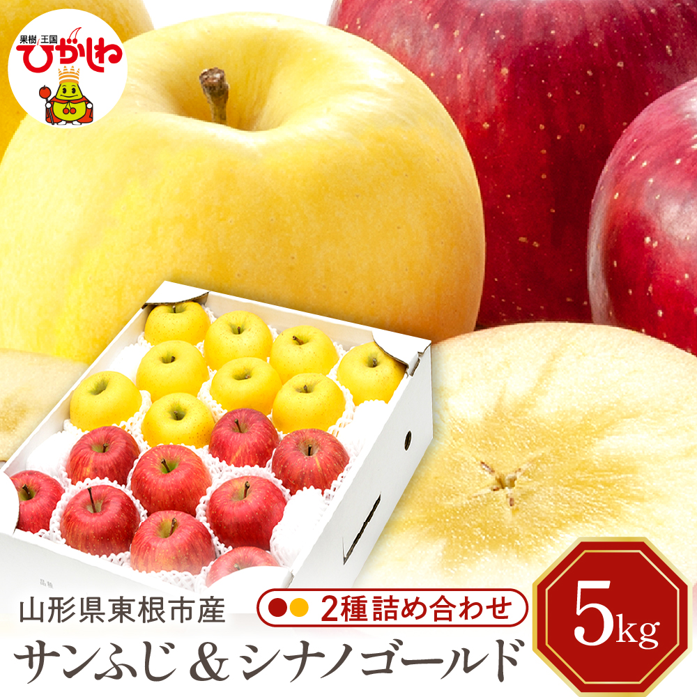 【令和7年産 先行予約】りんご サンふじ ＆シナノゴールド5kg(秀品) 山形県 東根市 東根農産センター提供 hi027-208-1