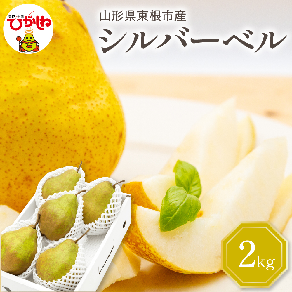 【令和7年産 先行予約】西洋梨シルバーベル2kg 山形県 東根市 東根農産センター提供 hi027-200-1