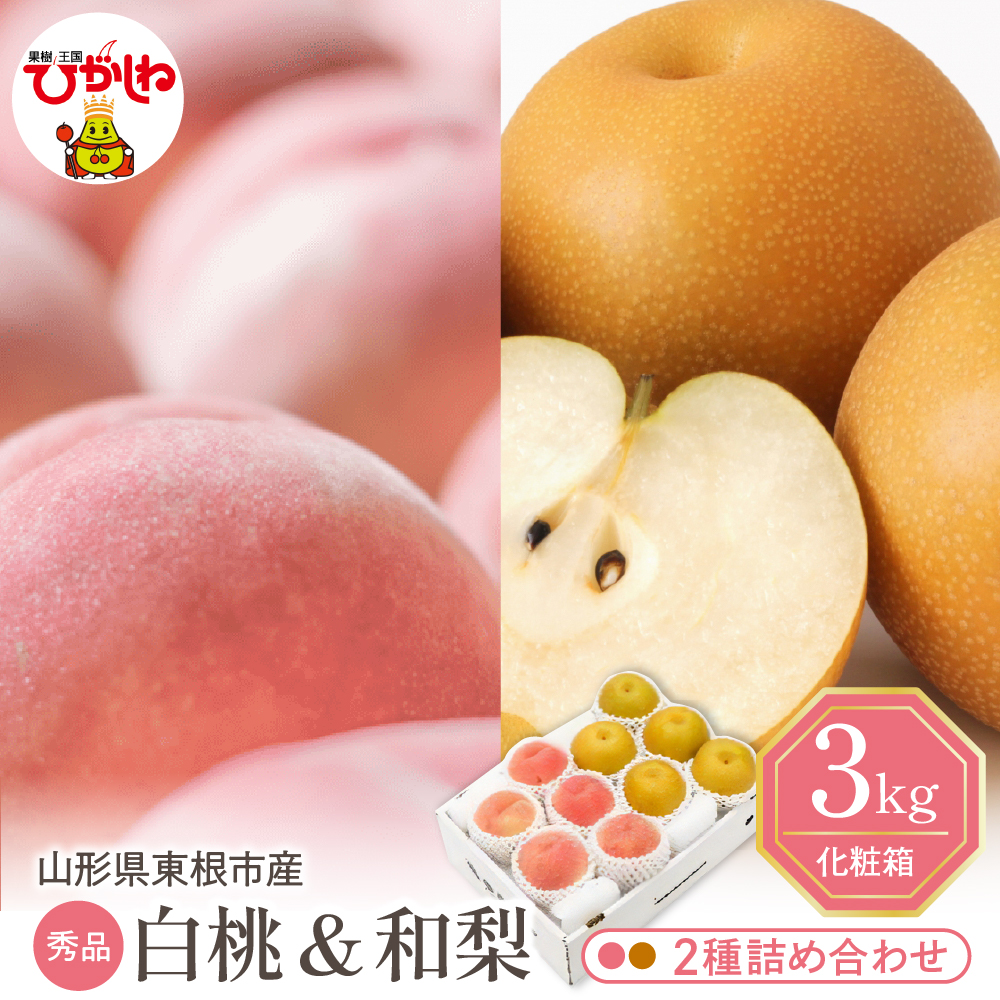 【2026年】東根市産 白桃（品種おまかせ）＆和梨 詰め合わせ 3kg 秀品 化粧箱入り 山形県 東根市 hi027-240