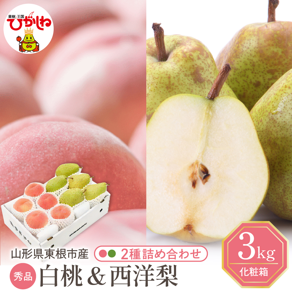 【2026年】東根市産 白桃（品種おまかせ）＆西洋梨 詰め合わせ 3kg 秀品 化粧箱入り 山形県 東根市 hi027-241