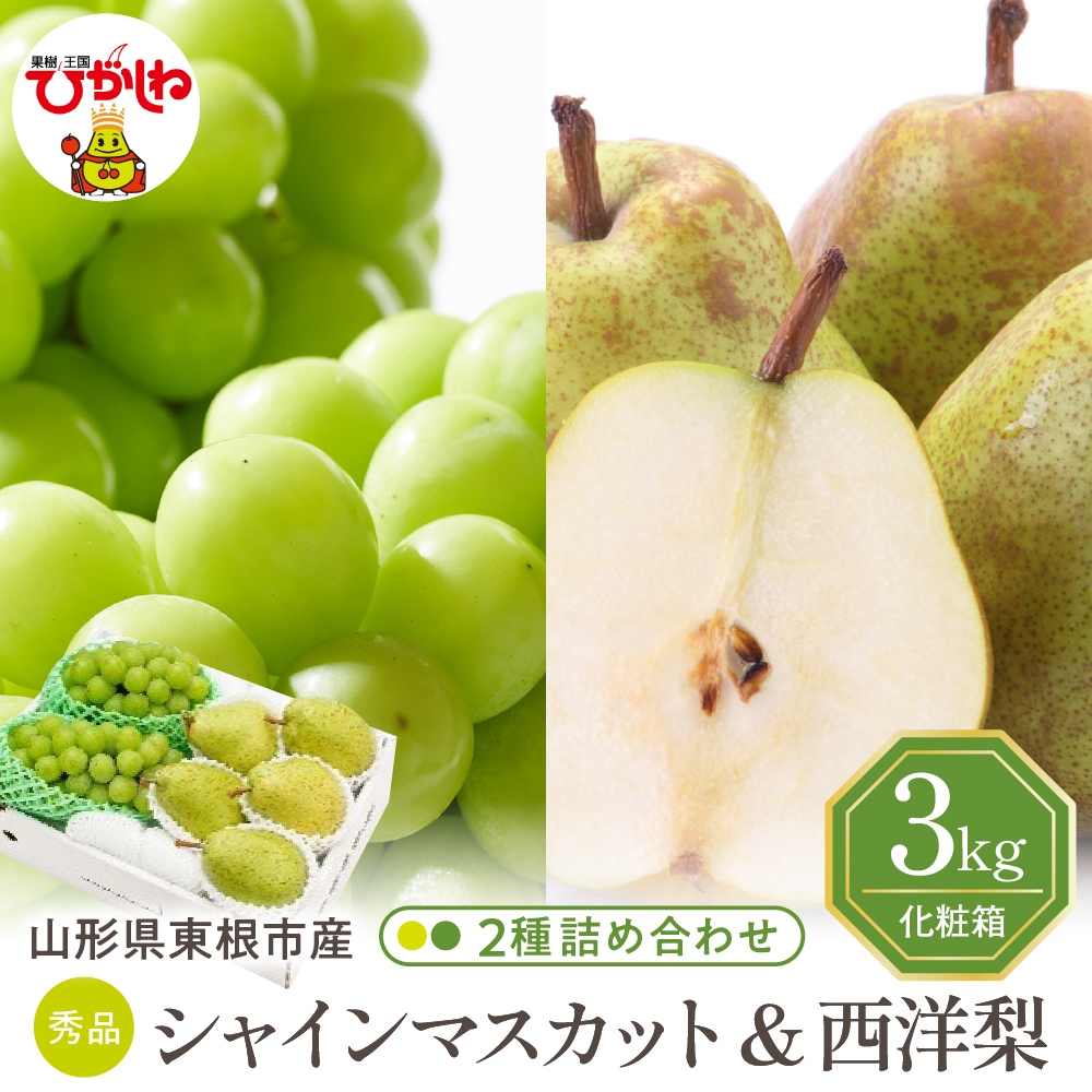 【2026年】東根市産 シャインマスカット＆西洋梨 詰め合わせ 3kg 秀品 化粧箱入り 山形県 東根市 hi027-242