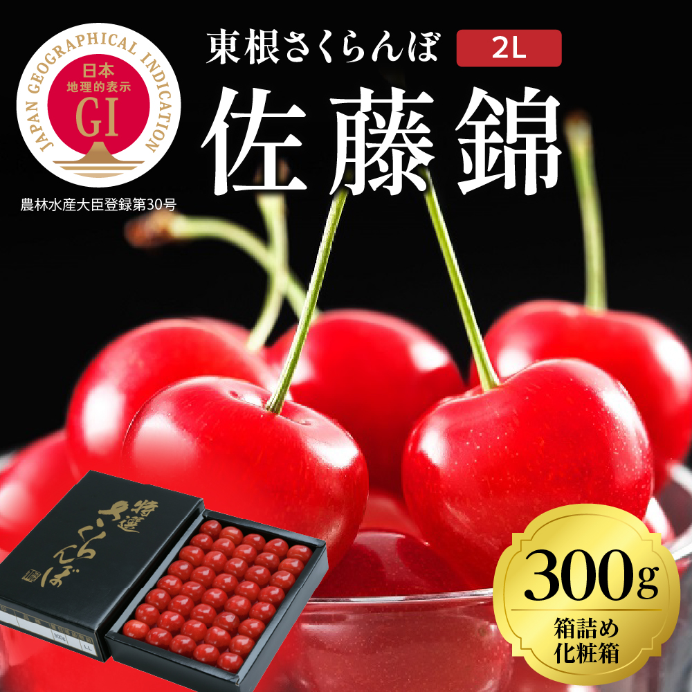 2026年 GI東根さくらんぼ「佐藤錦」300g 鏡詰め 特秀 2Lサイズ 東根農産センター提供 山形県 東根市 hi027-222