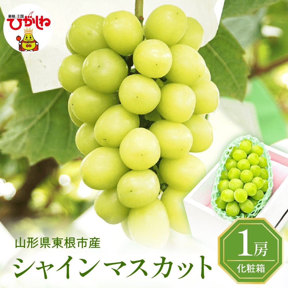 2026年ぶどう「シャインマスカット」秀品 化粧箱入り 1房(約600g) 東根農産センター提供 山形県 東根市 hi027-233