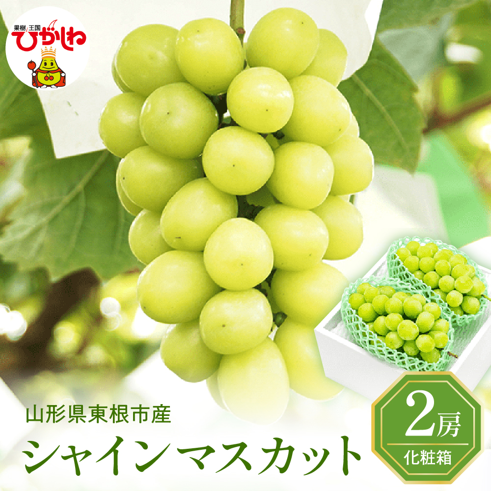 2026年ぶどう「シャインマスカット」秀品 化粧箱入り 2房(約1.2kg) 東根農産センター提供 山形県 東根市 hi027-234