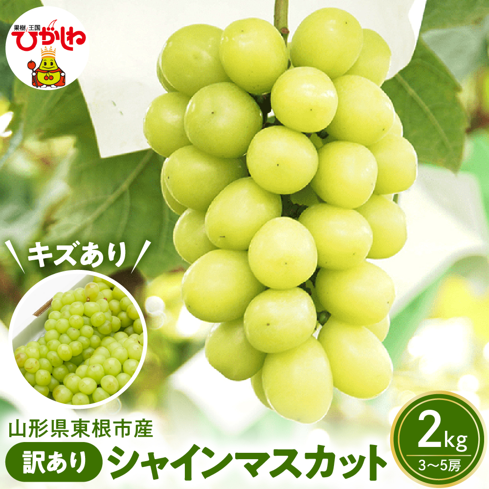 2026年ぶどう「訳ありシャインマスカット」2kg（3～5房）東根農産センター提供 山形県 東根市 hi027-235