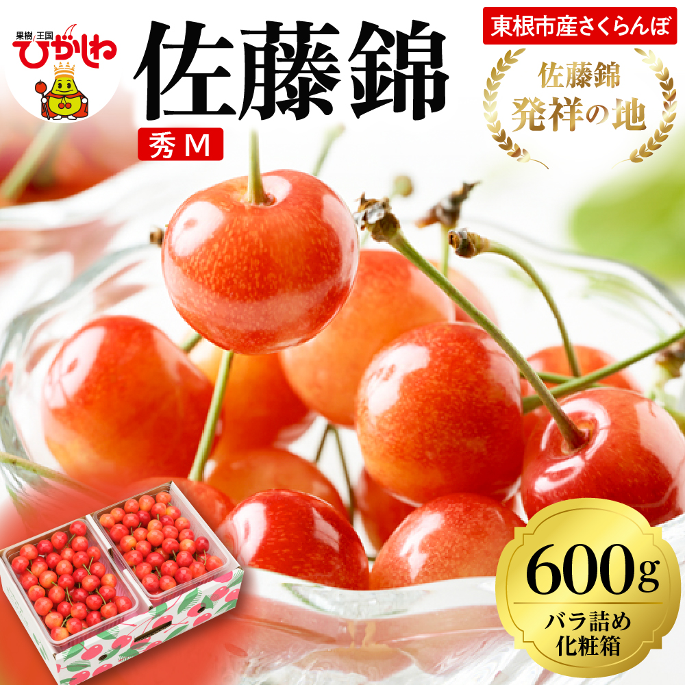 2026年 東根産さくらんぼ「佐藤錦」600gバラ詰め 秀品 Mサイズ 東根農産センター提供 山形県 東根市 hi027-219