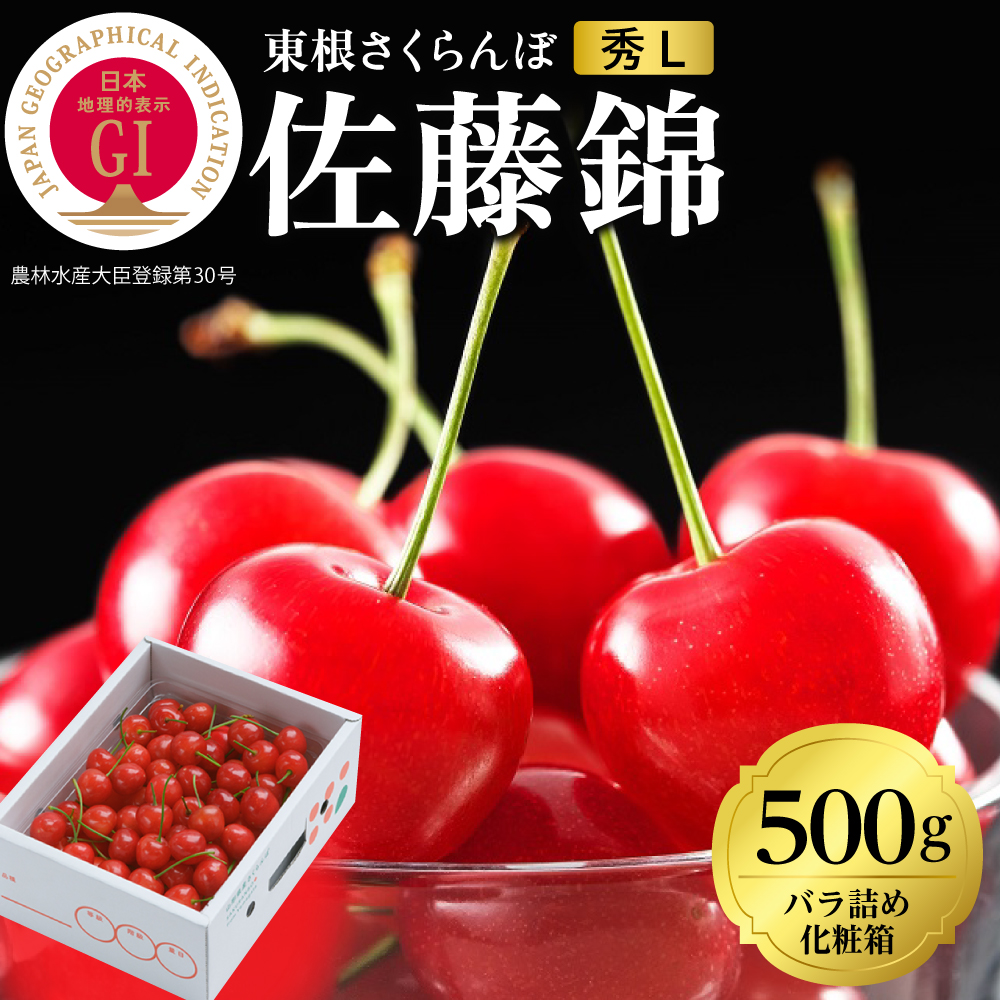 2026年 GI東根さくらんぼ「佐藤錦」500gバラ詰め 秀品 Lサイズ 東根農産センター提供 山形県 東根市 hi027-220