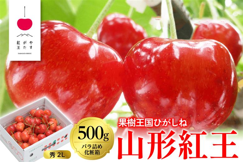 2026年 「やまがた紅王」500g バラ詰め 秀品 2Lサイズ 東根農産センター提供 山形県 東根市 hi027-231