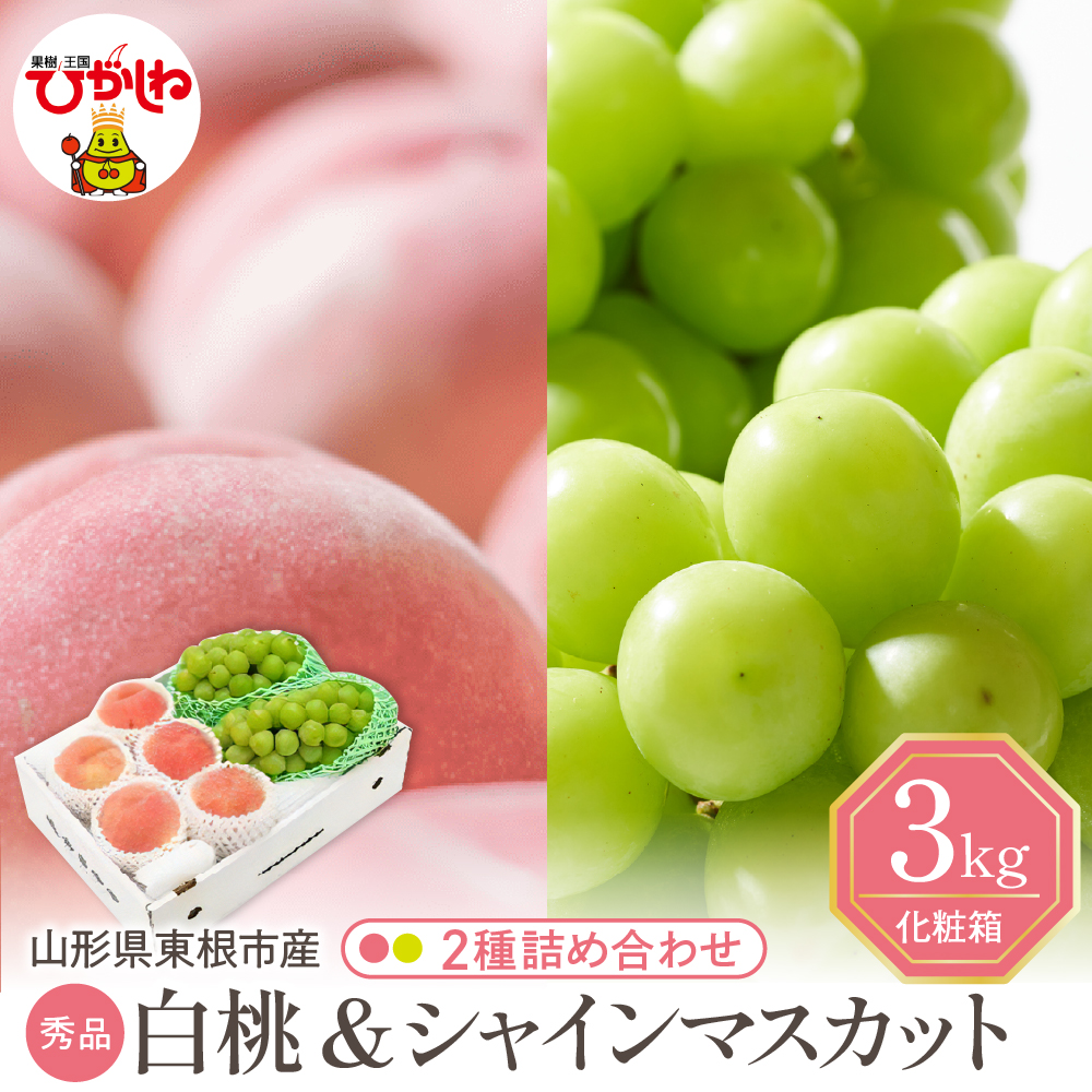 【2026年】 東根市産 白桃（品種おまかせ）秀品＆シャインマスカット詰め合わせ 化粧箱入り3kg 山形県 東根市 hi027-238