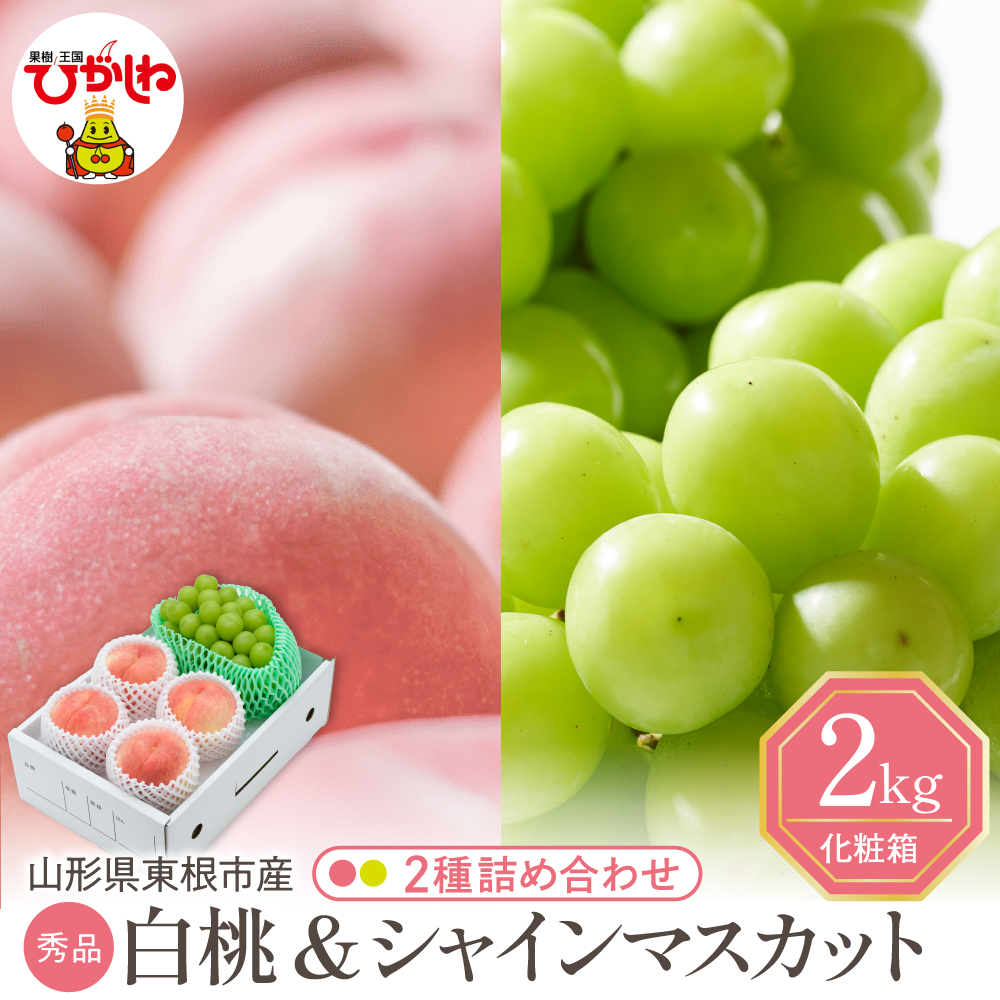 【2026年】東根市産 白桃（品種おまかせ）＆シャインマスカット 詰め合わせ 秀品 化粧箱入り 2kg 山形県 東根市 hi027-243