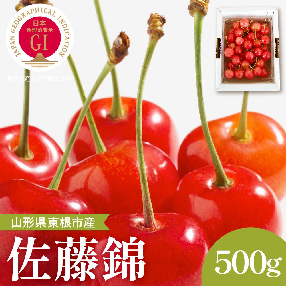 【2026年産】GI東根さくらんぼ「佐藤錦」秀品 500gバラ詰め (500g×1パック) Lサイズ以上 安達農園提供 山形県 東根市 hi037-014