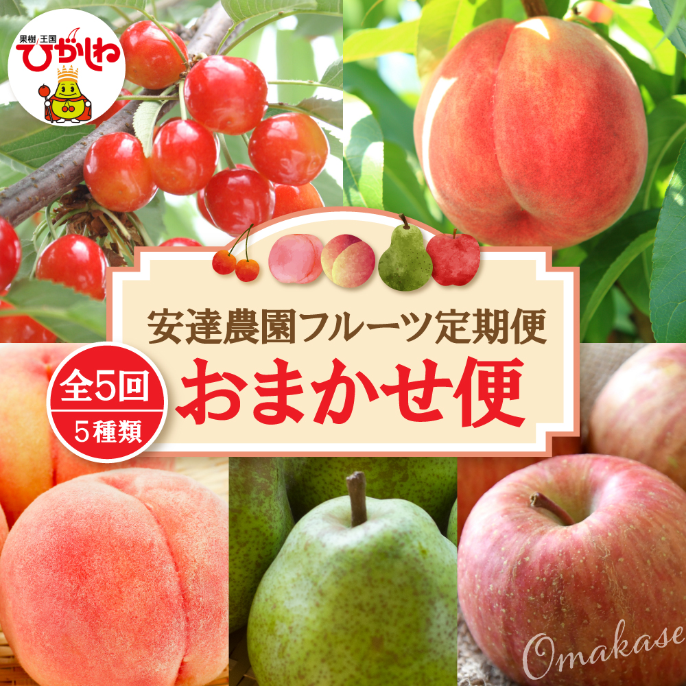 【2026年 5回定期便】安達農園フルーツ定期便 おまかせ便 安達農園提供 山形県 東根市 hi037-011