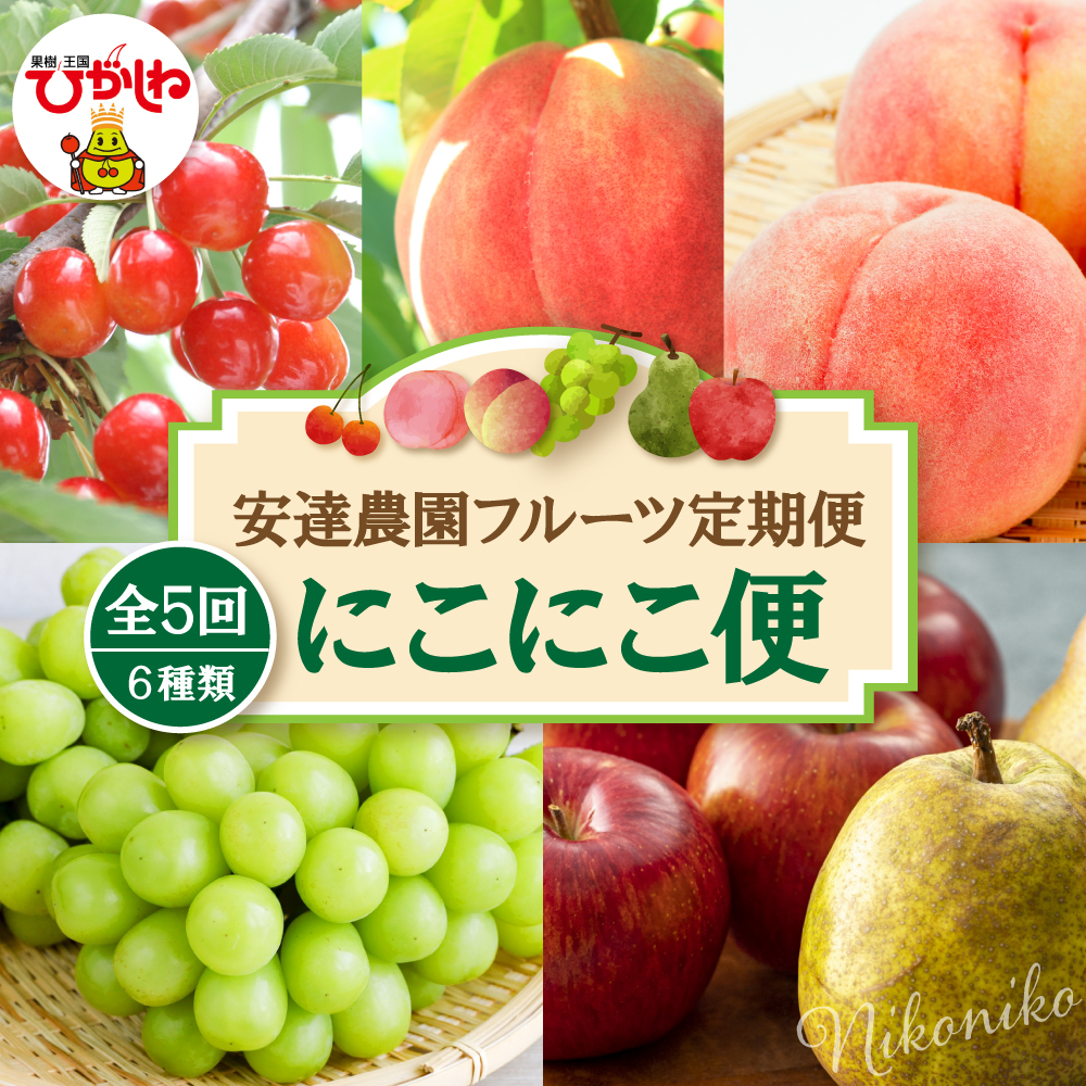 【2026年 5回定期便】安達農園フルーツ定期便 にこにこ便 安達農園提供 山形県 東根市 hi037-012