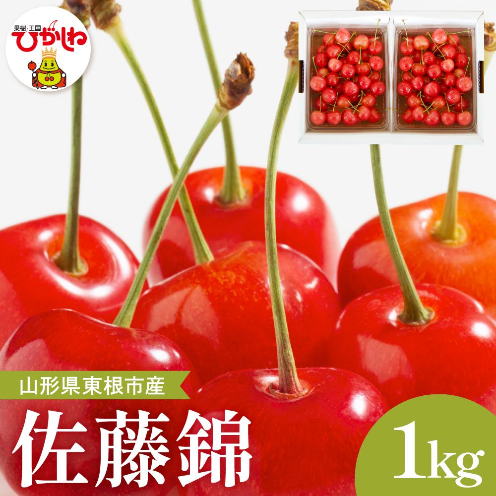 【2026年産】さくらんぼ「佐藤錦」秀品 1kgバラ詰め (500g×2パック) Lサイズ以上 安達農園提供 山形県 東根市 hi037-013