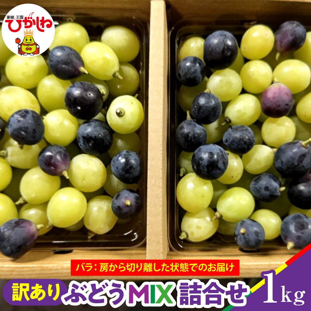 【2026年産】ぶどうMIX詰め合わせ 訳ありバラ 約1kg 山形県 東根市 松栗提供 hi062-067