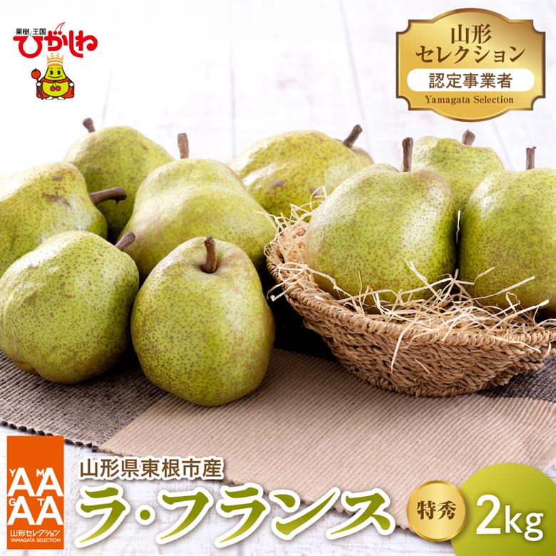 【令和8年産 先行予約】山形セレクション　ラ・フランス 2kg 山形県 東根市 hi069-016 山形セレクション　ラ・フランス 2kg
