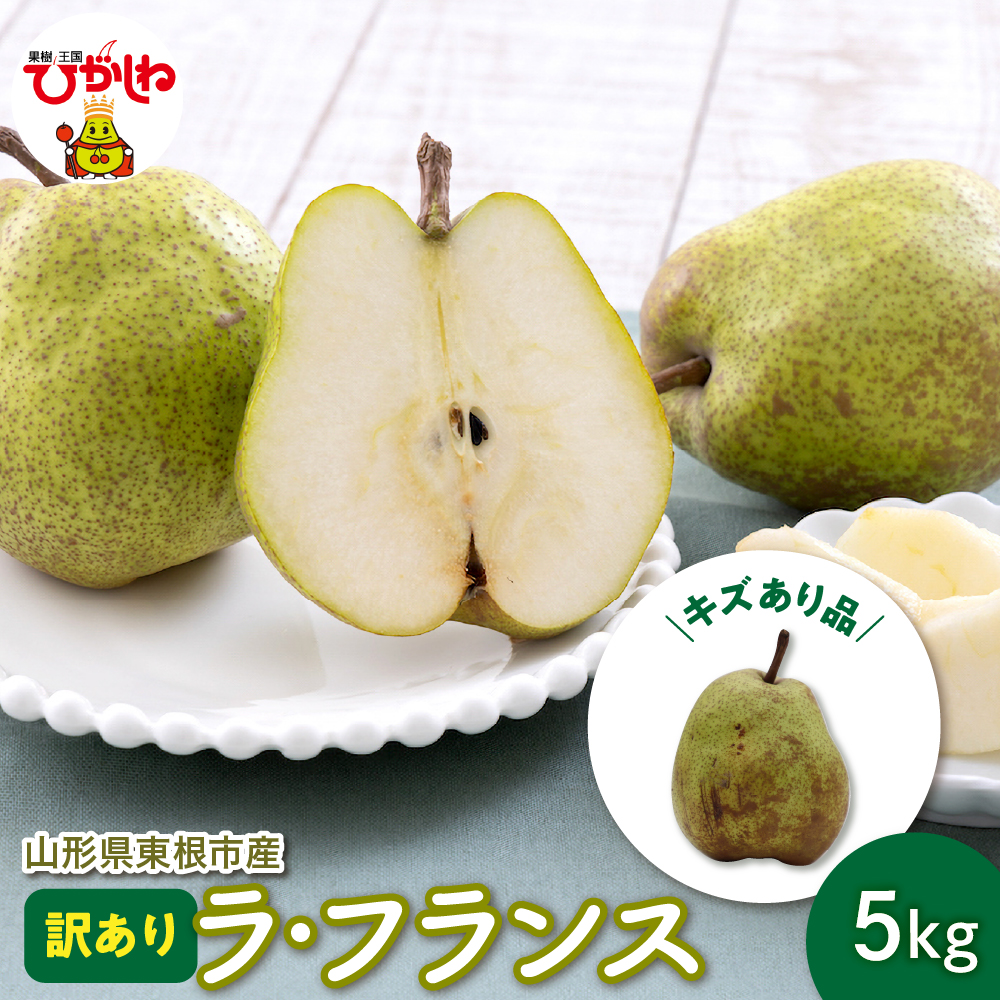 【令和8年産 先行予約】ラ・フランス 家庭用（訳あり）5kg 山形県 東根市 hi069-020 ラ・フランス 家庭用（訳あり）5kg