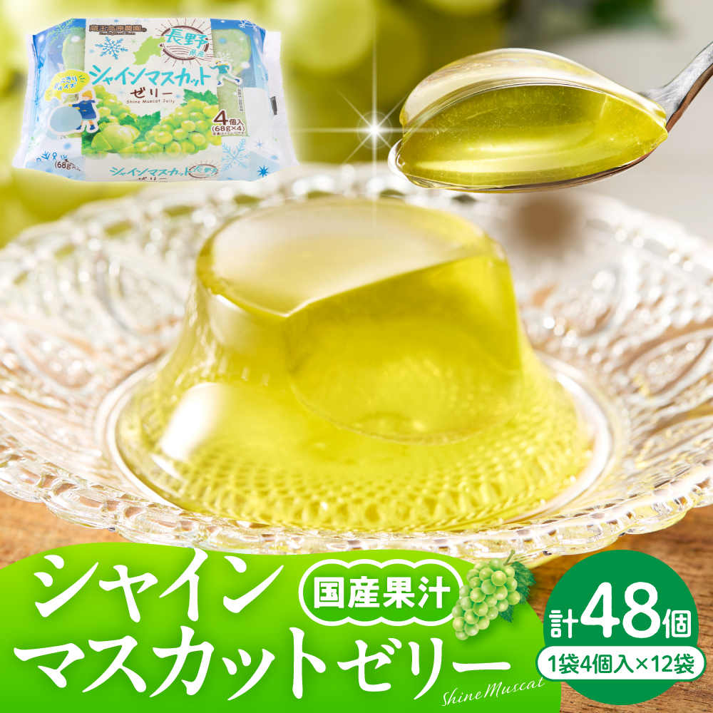 シャインマスカットゼリー1袋4個入×12袋 和歌山産業提供 山形県 東根市 hi070-007 シャインマスカットゼリー（48個）