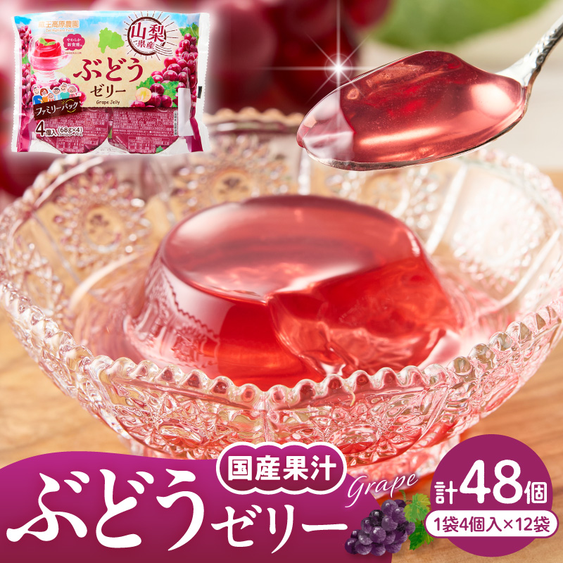 ぶどうゼリー 1袋4個入×12袋 和歌山産業提供 山形県 東根市 hi070-014 ぶどう