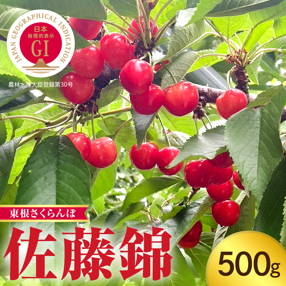 【2025年産】GI「東根さくらんぼ」佐藤錦 500gバラ詰め Lサイズ 山形県 東根市 hi074-011-1