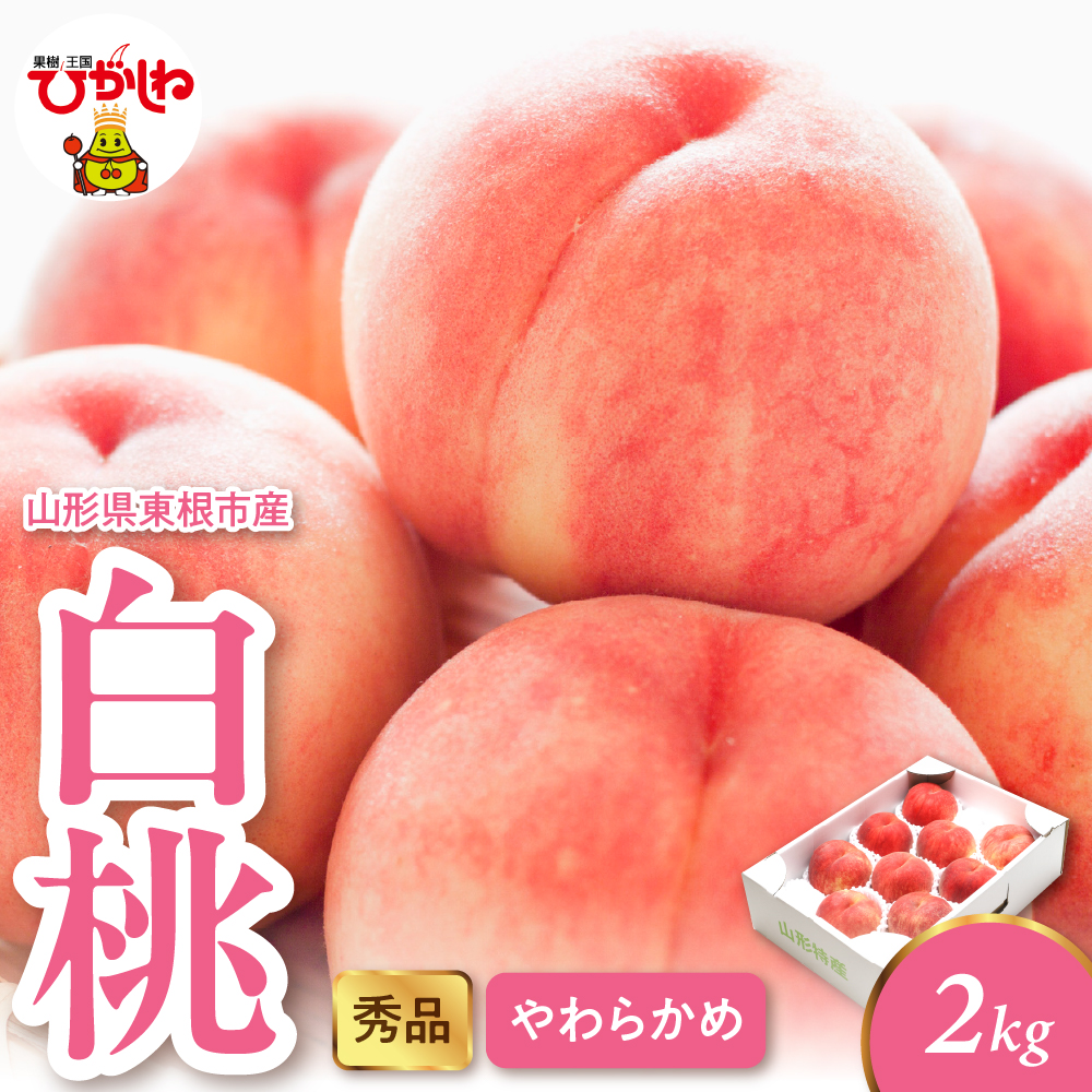 2026年産 白桃（柔らかめ） 2kg 秀品 山形県 東根市 hi082-048 白桃（柔らかめ） 2kg 秀品
