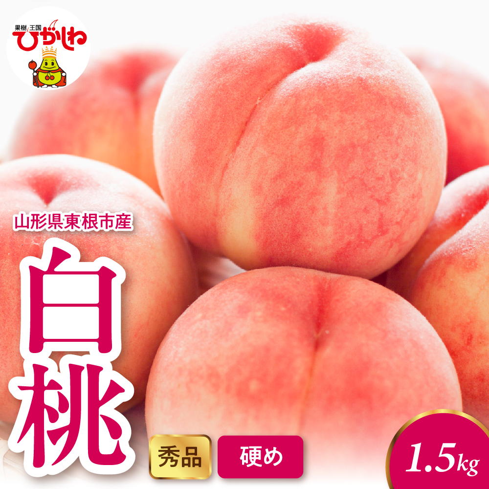 2026年産 白桃（硬め） 1.5kg 秀品 山形県 東根市 hi082-052 白桃（硬め） 1.5kg 秀品