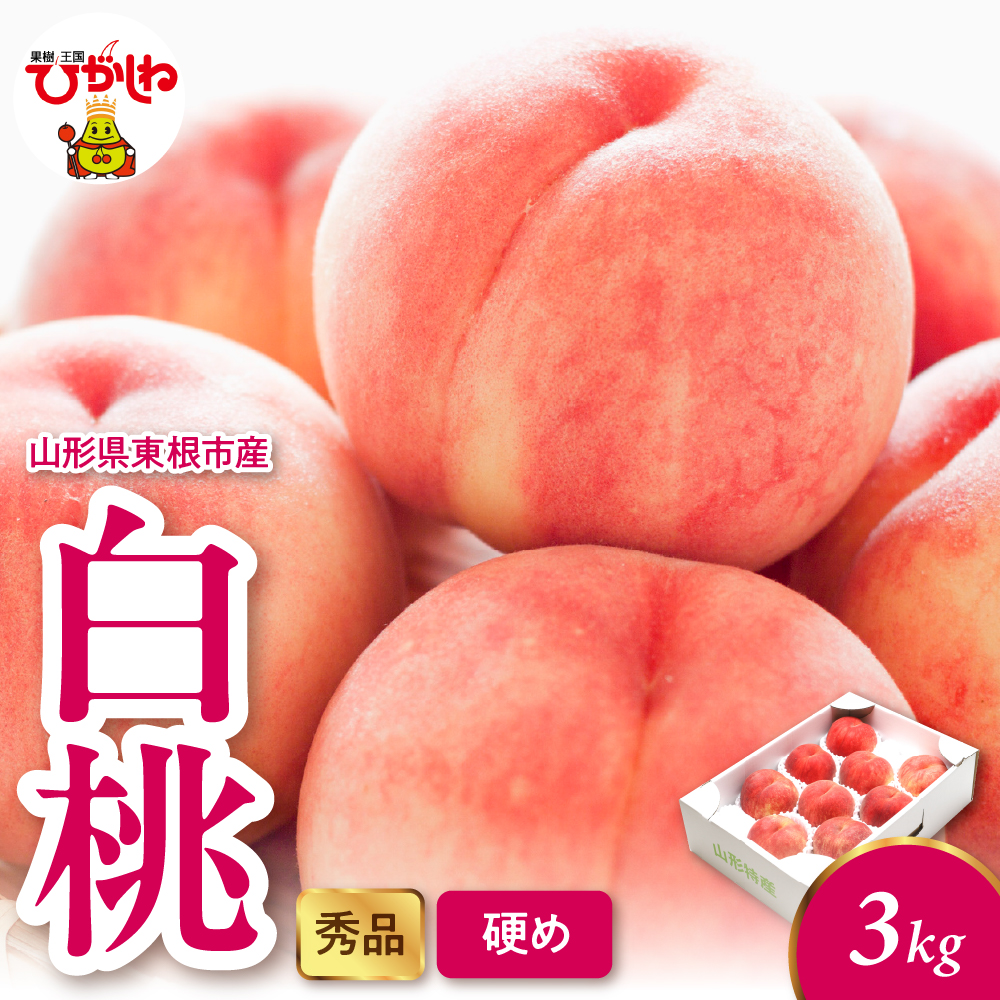 2026年産 白桃（硬め） 3kg 秀品 山形県 東根市 hi082-054 白桃（硬め） 3kg 秀品