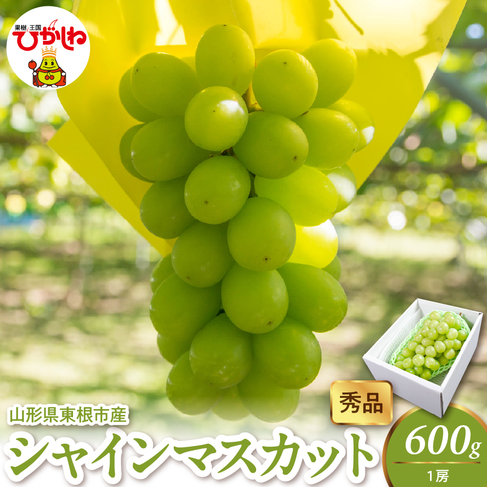 2026年産 シャインマスカット 600g(1房） 秀品 山形県 東根市　hi082-057 600g(1房）