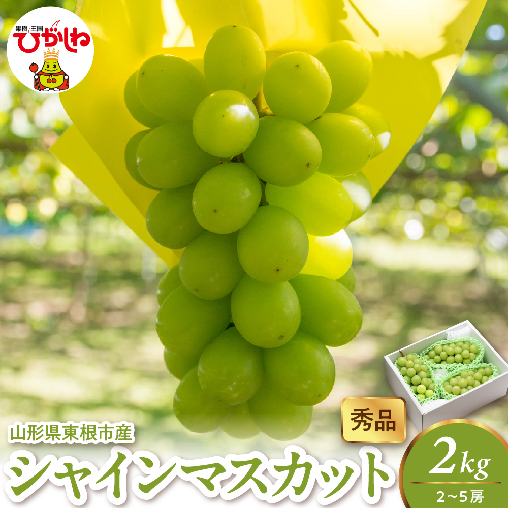 2026年産 シャインマスカット 2kg（2-5房） 秀品 山形県 東根市　hi082-059 2kg（2-5房）