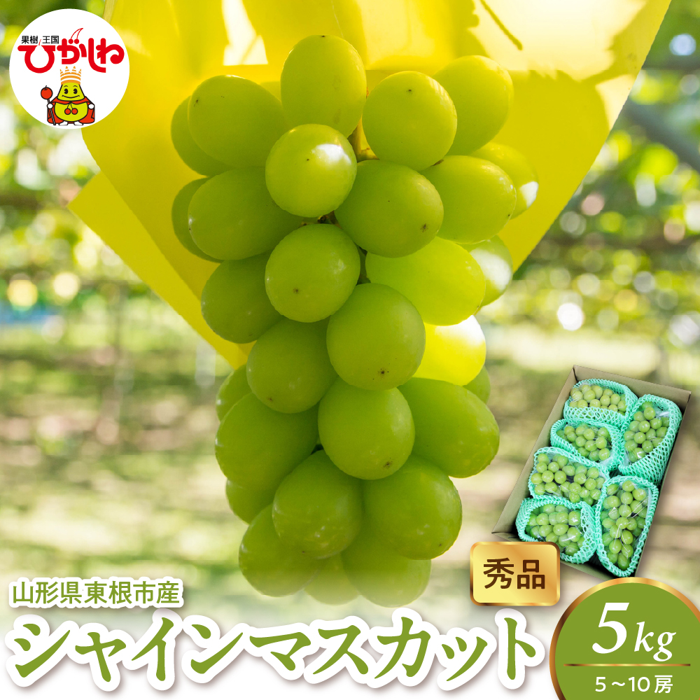 2026年産 シャインマスカット 5kg（5-10房） 秀品 山形県 東根市　hi082-060 5kg（5-10房）
