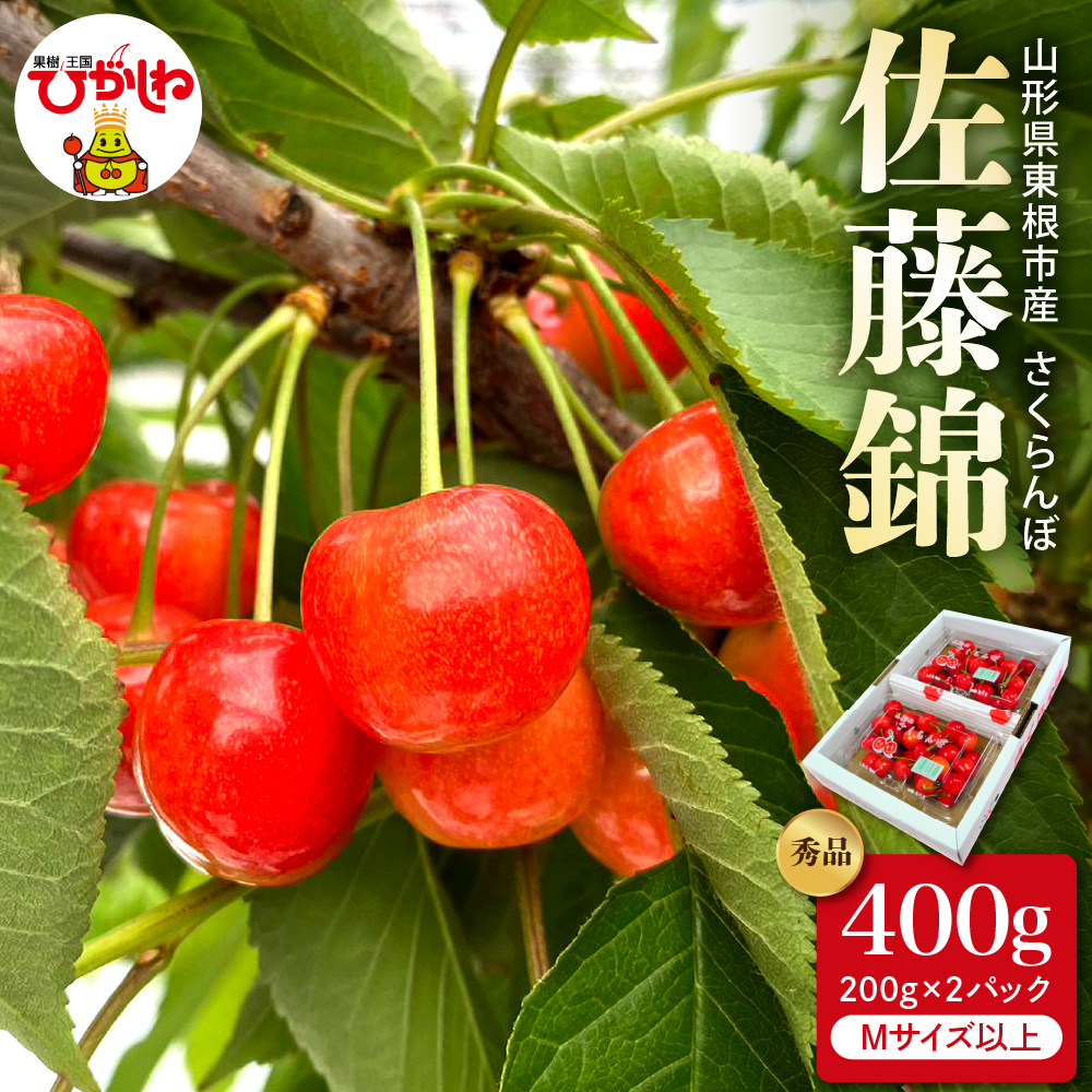 【2026年産 先行予約】さくらんぼ「佐藤錦」秀品 400gバラ詰め（200g×2パック） Mサイズ以上 山形県 東根市 hi088-009