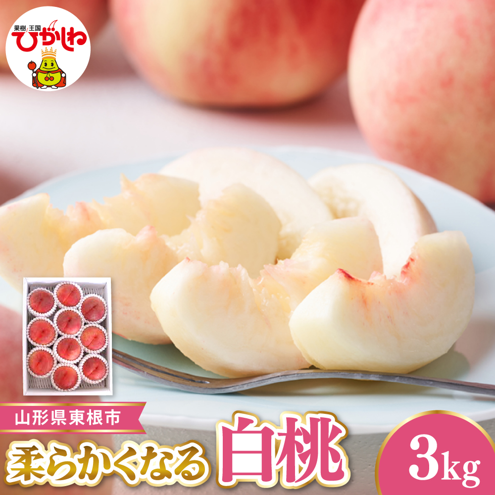 【令和8年産先行受付】 東根市産白桃　秀品 柔らかくなる桃 約3kg ベジフルひがしね 山形県 東根市 hi104-005