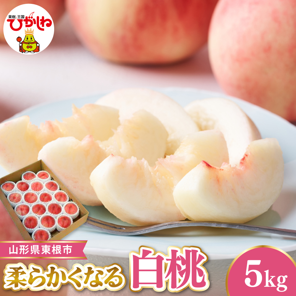 【令和8年産先行受付】 東根市産白桃　秀品 柔らかくなる桃 約5kg ベジフルひがしね 山形県 東根市 hi104-006