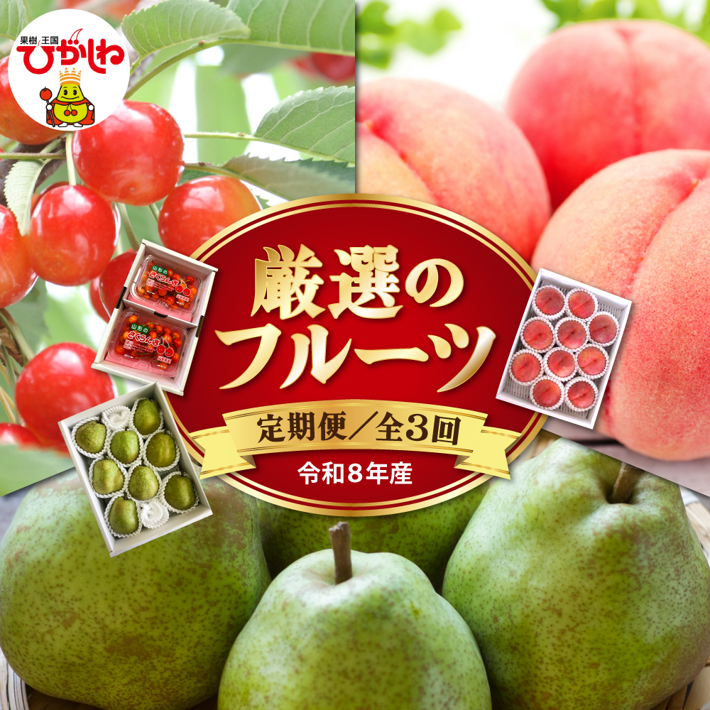 【2026年 先行予約 3回定期便】令和8年6月発送開始 東根市 厳選のフルーツ！ 東根市旬のフルーツ定期便 山形県 東根市 hi104-007