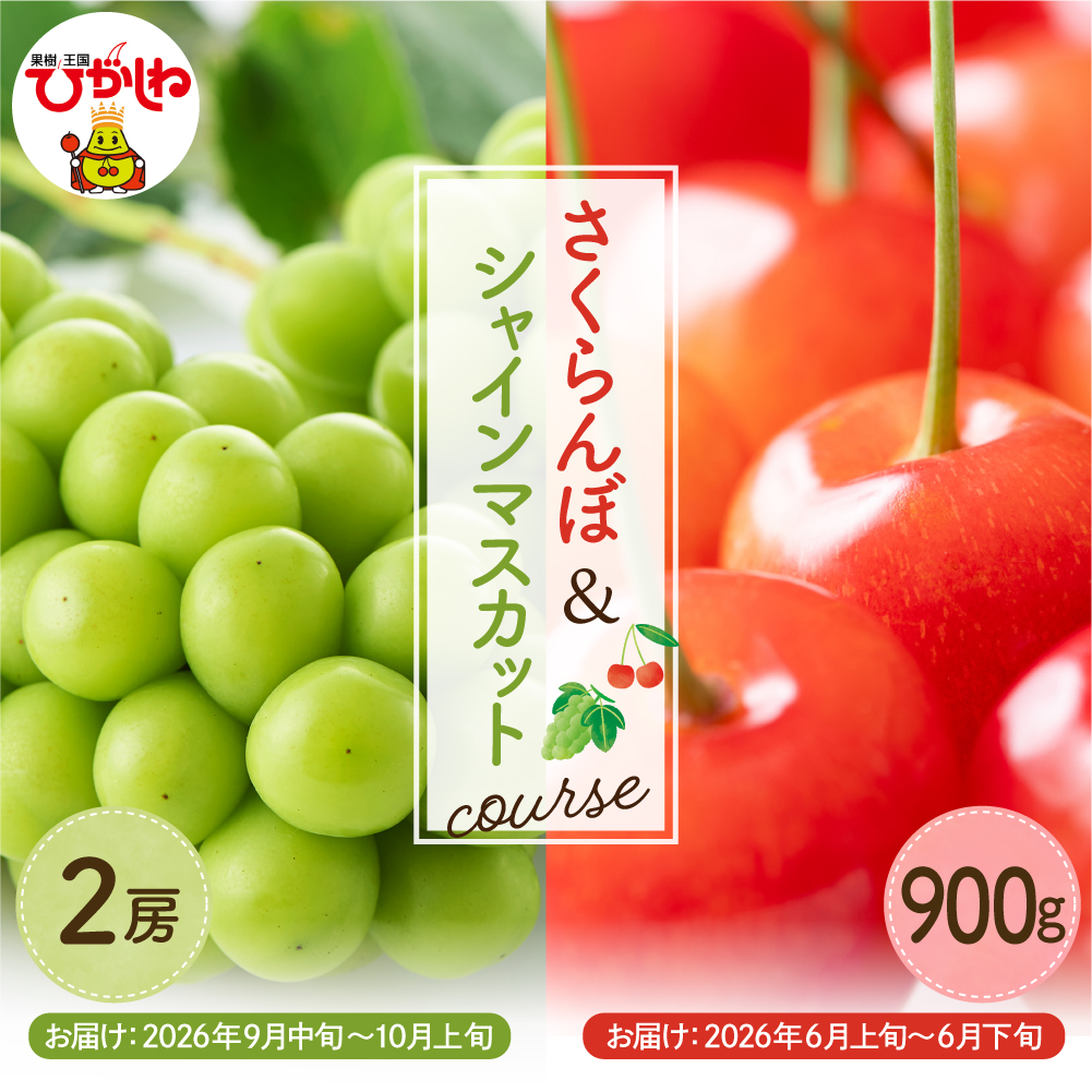 【2026年 2回定期便】GI東根さくらんぼandシャインマスカットコース（佐藤錦露地900g、シャインマスカット2房）山形県 東根市 hi999-047