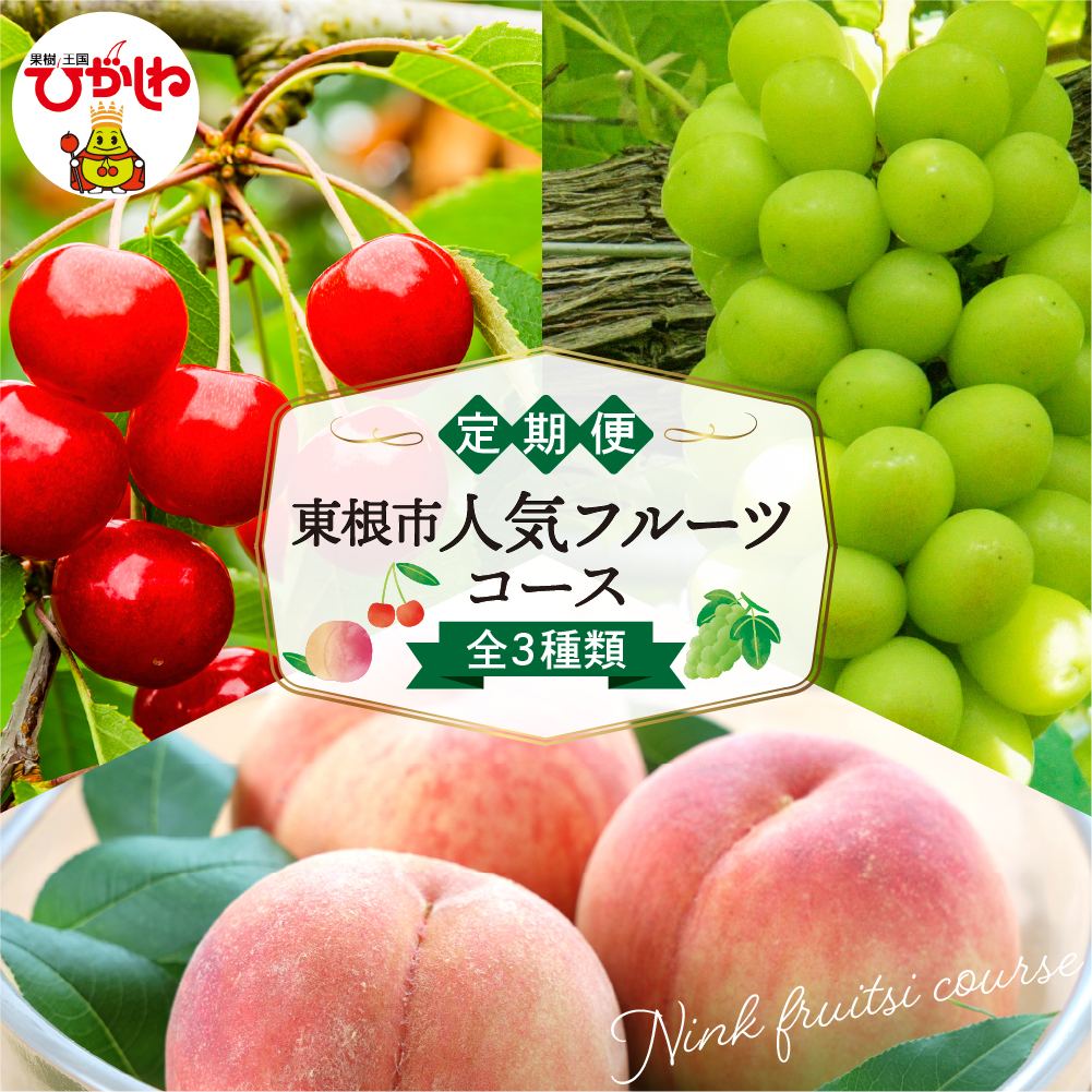【2026年 3回定期便】東根市人気フルーツコース さくらんぼ もも シャインマスカット山形県 東根市 hi999-048