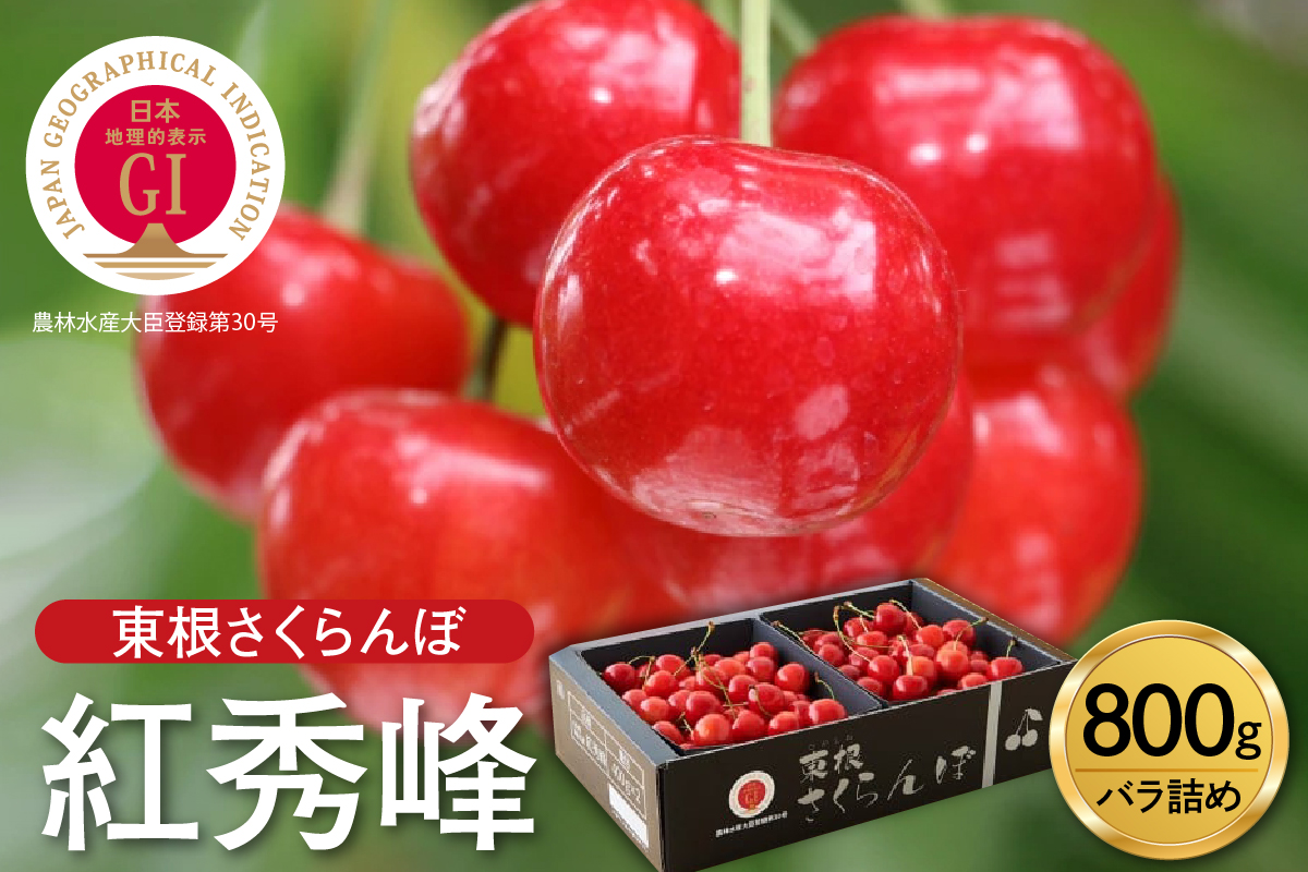 【2026年産 先行予約】GI 「東根さくらんぼ」紅秀峰 800g バラ詰め JA園芸部提供 山形県 東根市　hi001-040