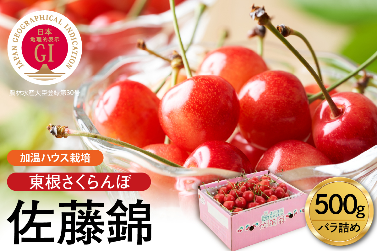【2026年産 先行予約】超先取り！加温ハウス栽培 GI 「東根さくらんぼ」佐藤錦 500gバラ詰め JA園芸部提供 山形県 東根市 hi001-037
