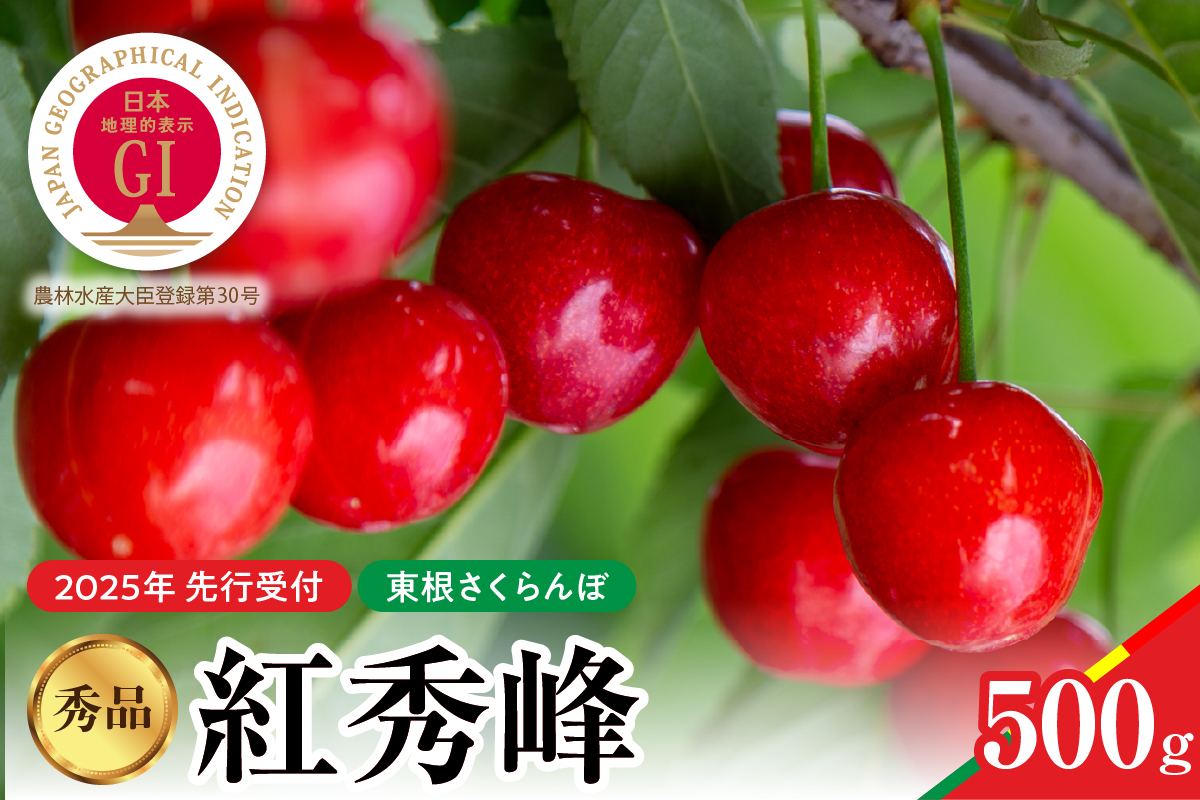 [2025年産 先行予約]紅秀峰 秀品 500g 山形県 東根市 hi004-hi062-040-1