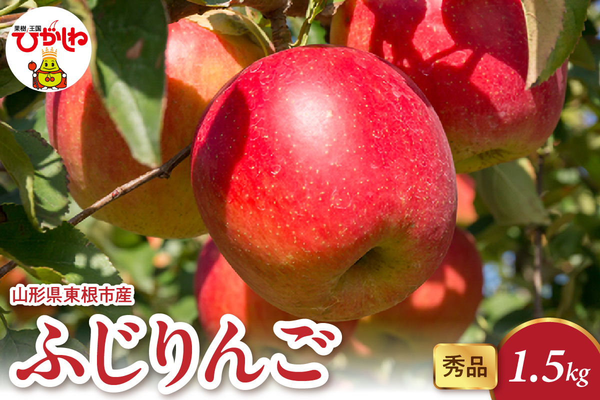 2025年産 ふじりんご 1.5kg（3-7玉） 秀品 山形県 東根市 hi082-015-1