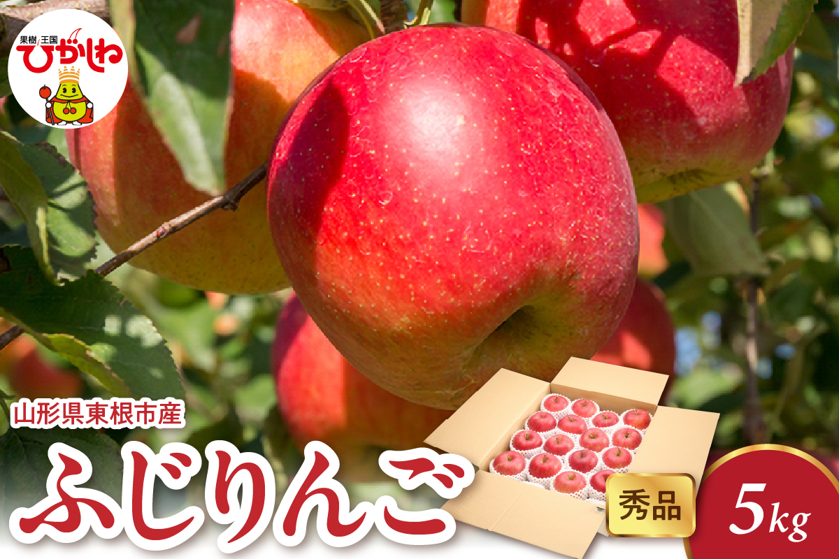 2025年産 ふじりんご 5kg（10-22玉） 秀品 山形県 東根市 hi082-018-1