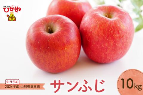 [2024年産 先行予約] 年りんご「サンふじ」10kg JA提供 hi003-115