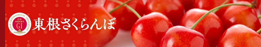 東根のさくらんぼ