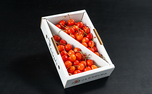 先行予約 さくらんぼ 佐藤錦 700g バラ ◯秀 L玉以上 令和8年産 2026年産 山形県産 果物 フルーツ サクランボ ja-snbax700