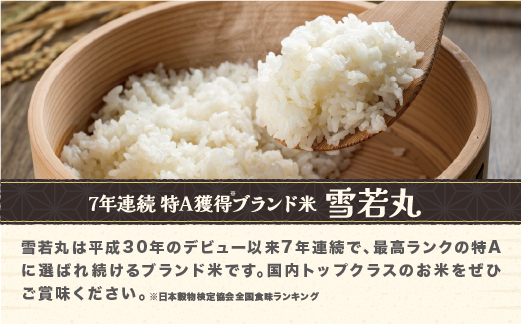 令和7年産 新米 玄米 雪若丸 10kg 配送時期選べる 1月下旬~4月下旬発送 2025年産 米 お米 国産 山形県 尾花沢市 ja-ywgxa10 玄米10kg（寄附額24,000円）