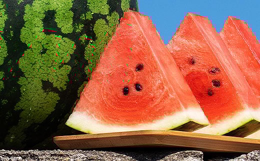 先行予約 尾花沢産スイカ 6Lサイズ 約11kg×1玉 7月下旬～8月中旬頃発送 令和8年産 2026年産 尾花沢産 スイカ すいか 西瓜 果物 くだもの フルーツ 観光物産 kb-su6xx1