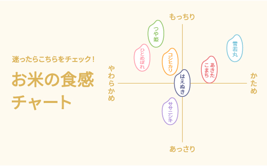 令和7年産 新米 精米 ひとめぼれ 5kg 5kg×1袋 2025年産 米 お米 国産 山形県 尾花沢市 kn-hisxa5